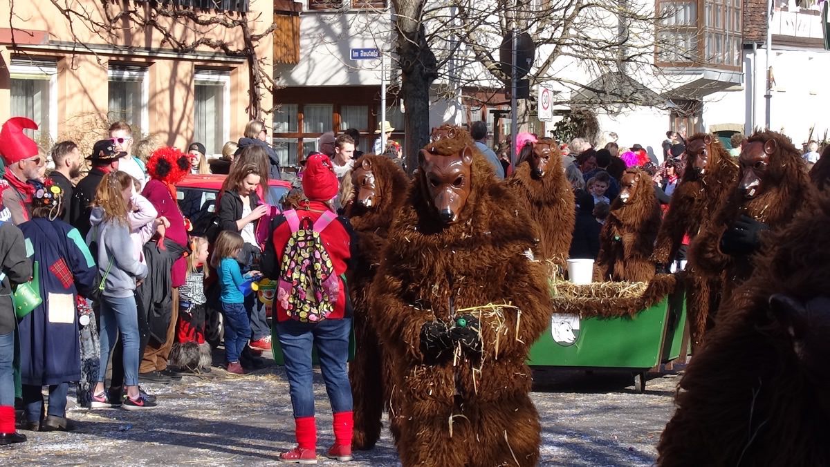 2017 RammertBären Rottenburg e.V.